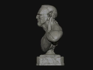 cyborg elf 3D Print Model