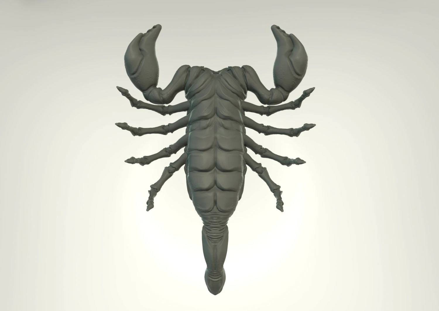 scorpion 3D Print Model .c4d .max .obj .3ds .fbx .stl .blend 