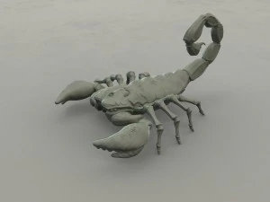 scorpion 3D Print Model