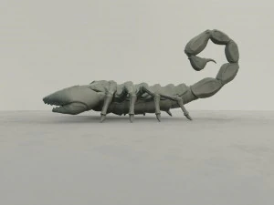 scorpion 3D Print Model