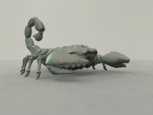 scorpion 3D Print Model