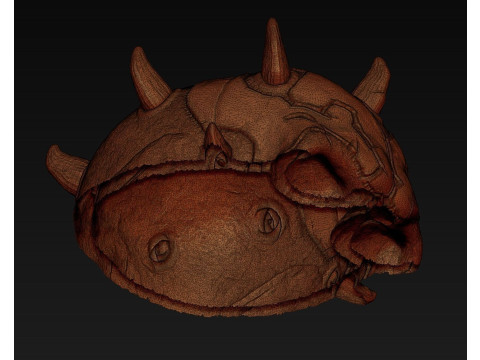 Darth Maul Skull for 3d printing Model do druku 3D