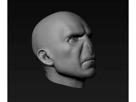 Lord Voldemort Kopf für den 3D-Druck 3D Druckmodell