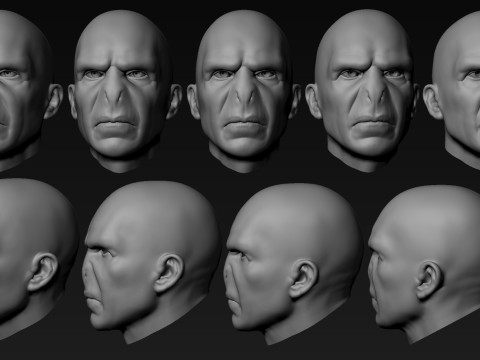 Lord Voldemort Kopf für den 3D-Druck 3D Druckmodell