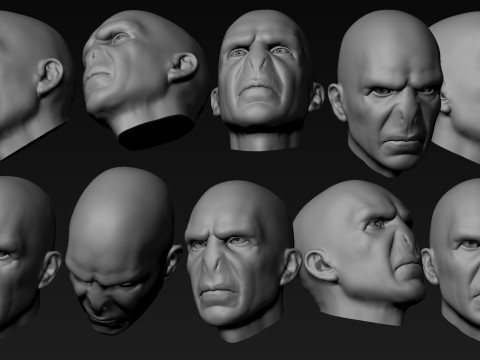 Lord Voldemort Kopf für den 3D-Druck 3D Druckmodell