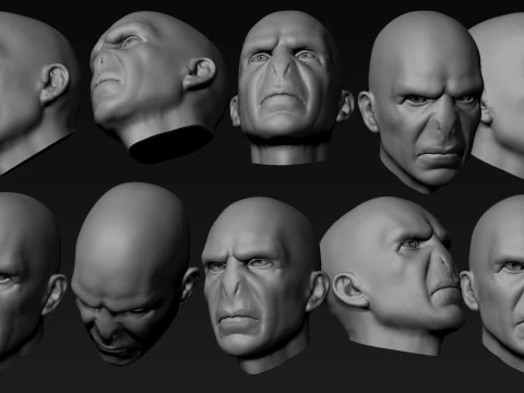 Lord Voldemort Head for 3d printing 3D Print Model