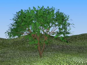 tree landscape 3D Модель