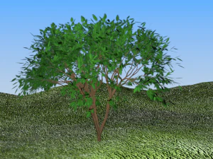 tree landscape 3D Model