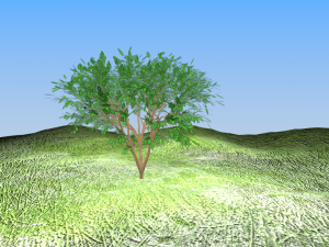 tree landscape 3Dモデル