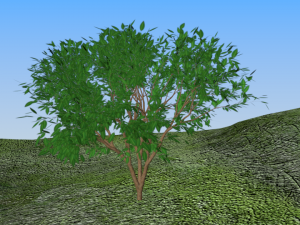 tree landscape 3D Модель