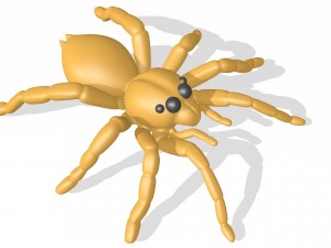 spider 3D Model
