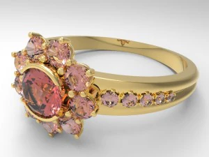 halka k1002n108 3D Baskı Modeli