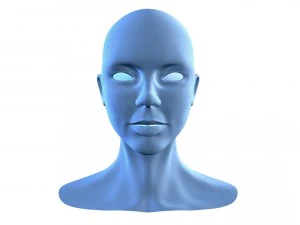 malla de base de cabeza de mujer hermosa Modelo 3D