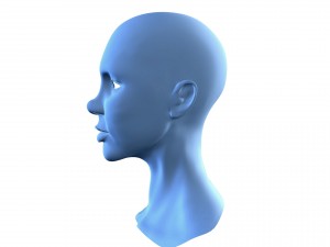 beautiful woman head base mesh Model 3D