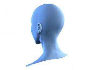 beautiful woman head base mesh Model 3D