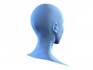 beautiful woman head base mesh Model 3D