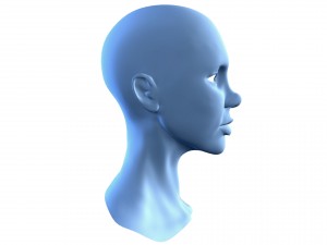 beautiful woman head base mesh Model 3D