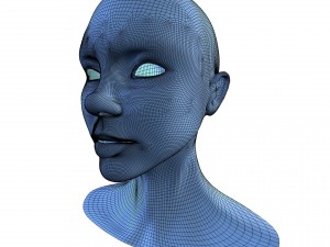 beautiful woman head base mesh Model 3D