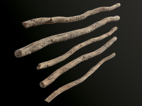 Wooden Planks constructor 52 items Model 3D
