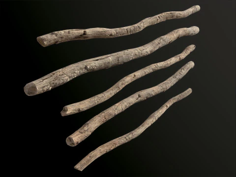 Wooden Planks constructor 52 items 3D Model