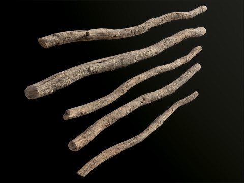 Wooden Planks constructor 52 items Model 3D