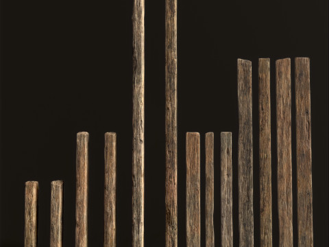 Wooden Planks 3D Model
