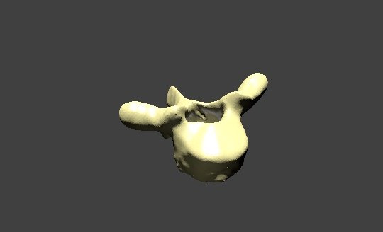 thoracic vertebra 3Dモデル .c4d .max .obj .3ds .fbx .stl .blend 
