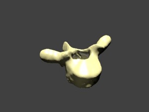 thoracic vertebra 3D 모델