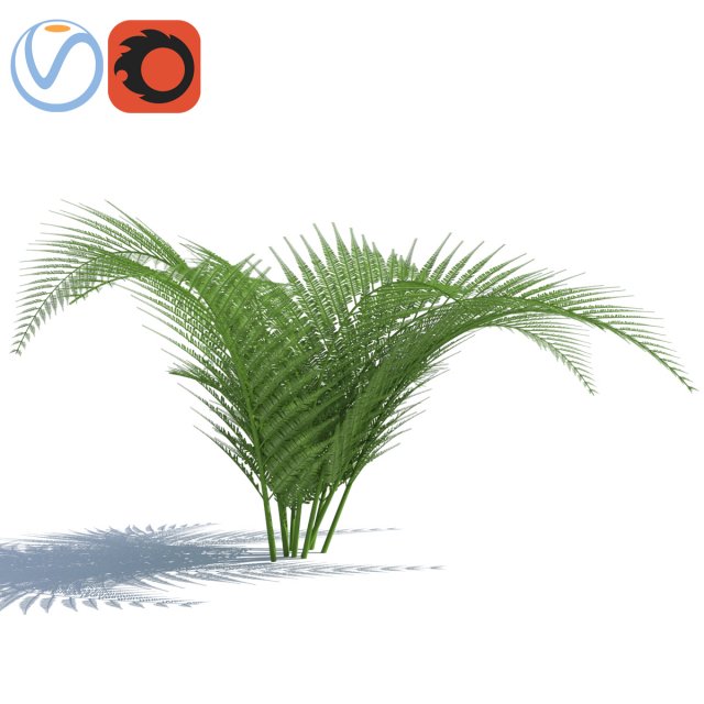 fern with wind effect 3D Model .c4d .max .obj .3ds .fbx .stl .blend 