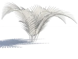 fern with wind effect 3D Model