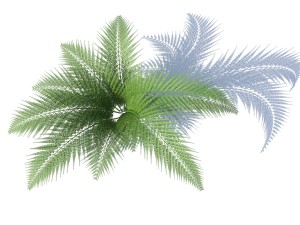 fern with wind effect 3D Model