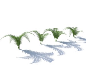 fern with wind effect 3D Model