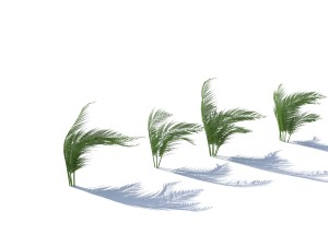 fern with wind effect 3D Model