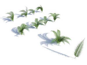 fern with wind effect 3D Model