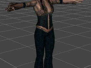 Dan&ccedil;arino Modelo 3D