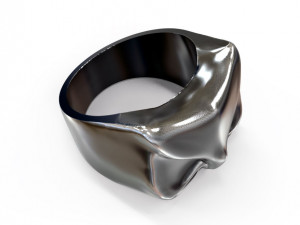 ring owl 3D 프린트 모델