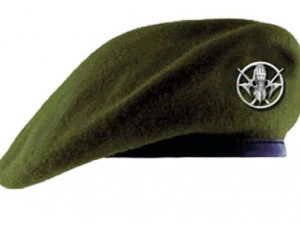 beret badge 101 brigade 3D Print Model