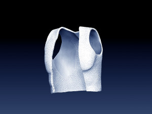 composition aladdin 3D Print Model