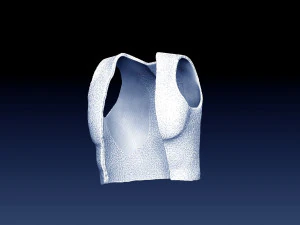 composition aladdin 3D Print Model