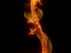 Hong Kong Dragon - Fire Dragon 3D Model