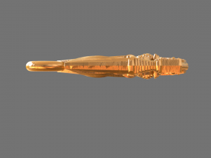 Pendant with a map of Ukraine and the original trident 3D 打印模型