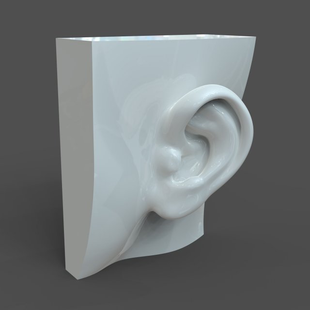 cad-friendly casual woman ear model f1p1d0v1ear 3D 模型 .c4d .max .obj .3ds .fbx .stl .blend 