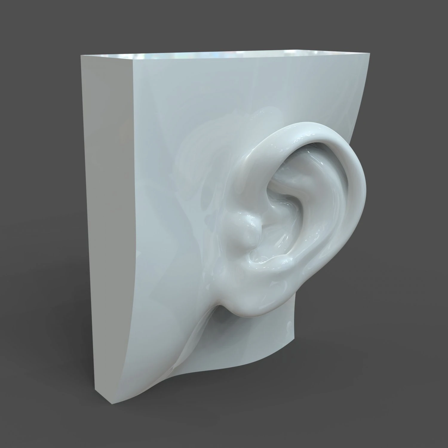 cad-friendly casual woman ear model f1p1d0v1ear 3D Model .c4d .max .obj .3ds .fbx .stl .blend 