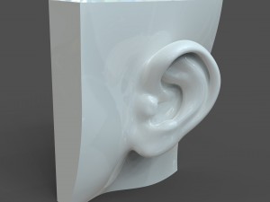 cad-friendly casual woman ear model f1p1d0v1ear 3D Model