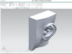 cad-friendly casual woman ear model f1p1d0v1ear 3D Model