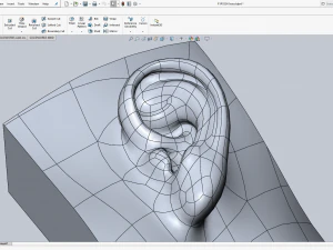 cad-friendly casual woman ear model f1p1d0v1ear 3D Model