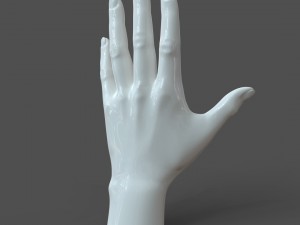 Cad-friendly casual woman hand model f1p1d0v1hand Modelo 3D