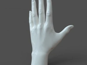 Cad-friendly casual woman hand model f1p1d0v1hand 3D Model