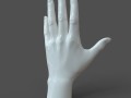 Cad-friendly casual woman hand model f1p1d0v1hand 3D Model