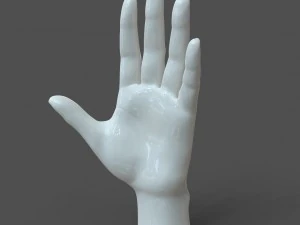Cad-friendly casual woman hand model f1p1d0v1hand 3D Model